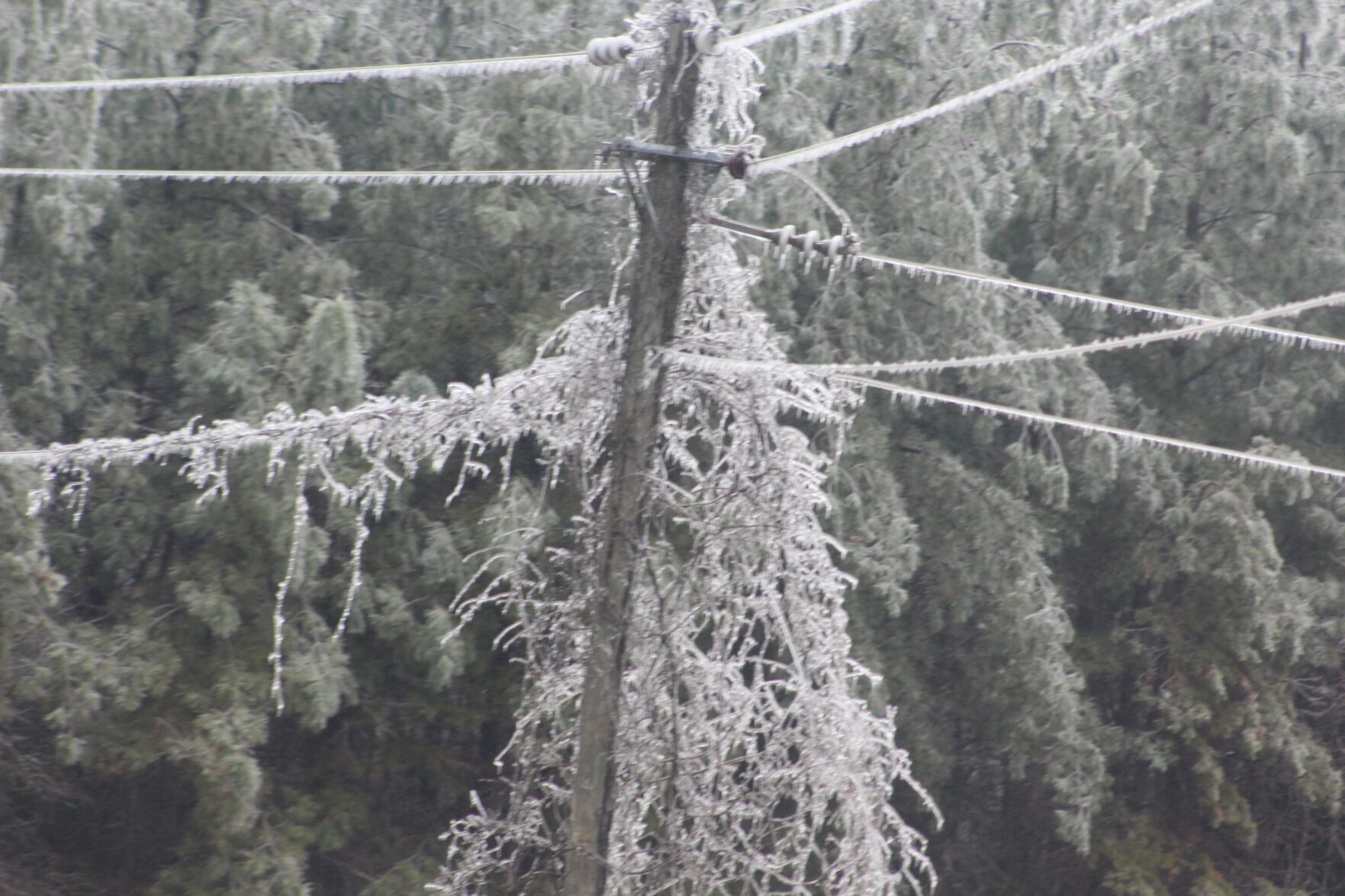 Ice on power line on Bethel Road